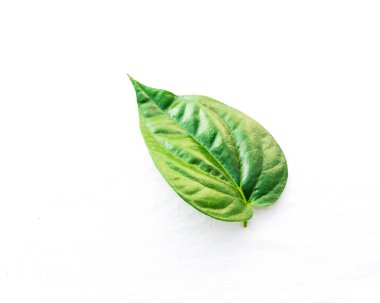 Beyaz üzerinde izole yakın çekim tek ham betel Yaprak veya Paan