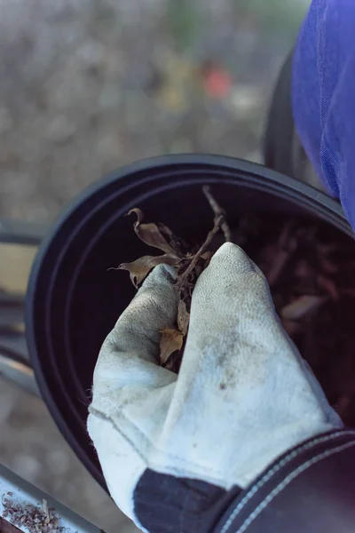 Close-up hand with gloves drop dried leaves and dirt into bucket from gutter cleaning — Stock Photo, Image