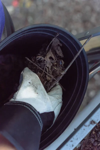 Close-up hand with gloves drop dried leaves and dirt into bucket from gutter cleaning — Stock Photo, Image