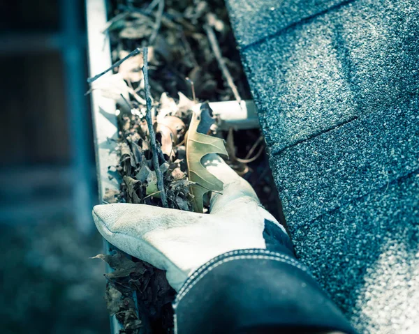 Filtered image top view hand in gloves on ladder cleaning dried leaves from gutter in America — Stock Photo, Image