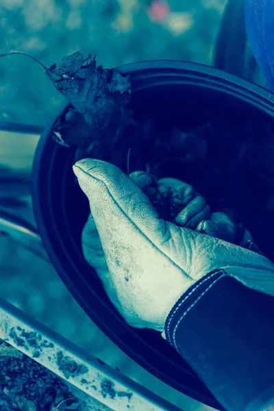 Filtered image close-up hand with gloves drop dried leaves and dirt into bucket from gutter cleaning — Stock Photo, Image