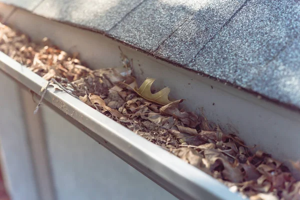 Close-up gutter clogged by dried leaves and messy dirt need clean-up