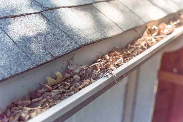 Close-up gutter clogged by dried leaves and messy dirt need clean-up — Stock Photo, Image