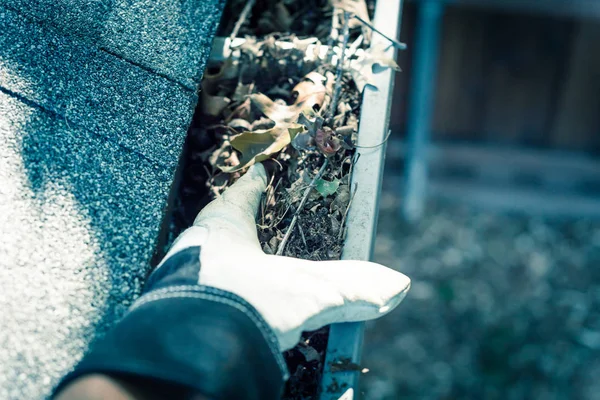 Filtered image top view hand in gloves on ladder cleaning dried leaves from gutter in America — Stock Photo, Image