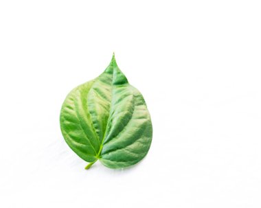 Beyaz üzerinde izole yakın çekim tek ham betel Yaprak veya Paan