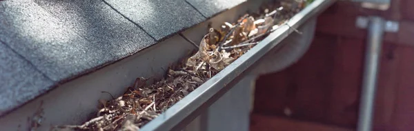 Panoramic gutter clogged by dried leaves and messy dirt need clean-up — Stock Photo, Image