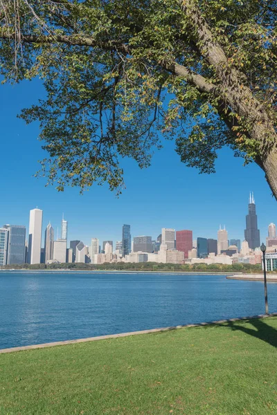 Chicago centro da cidade arranha-céus e árvores maduras em primeiro plano ao longo Michigan Lake — Fotografia de Stock