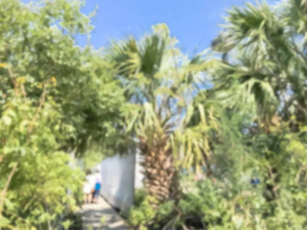 Blurry background customer shopping at plant sale late summer event in Dallas — Stok Foto