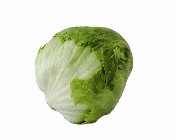 Studio shot single whole organic iceberg lettuce isolated on white — Stock Photo, Image