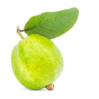 Stüdyo, beyaz yapraklı tek organik guava meyvesi çekti.