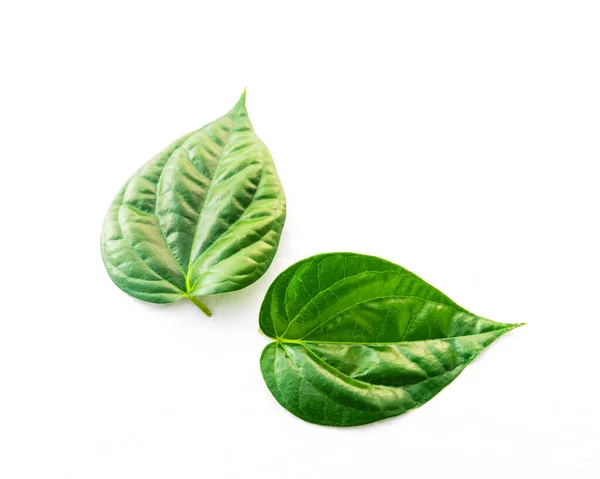 Φωτογραφία στούντιο κοντινό-up δύο ακατέργαστα φύλλα betel ή Πάαν απομονώνονται σε λευκό — Φωτογραφία Αρχείου