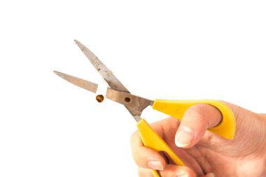 Stüdyo çekimi seçici odak Asyalı el izole edilmiş makasla sigara keser