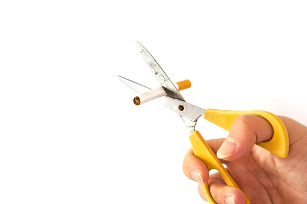 Studio shot Asian man hand cuts cigarette with scissors isolated on white — Stock Photo, Image