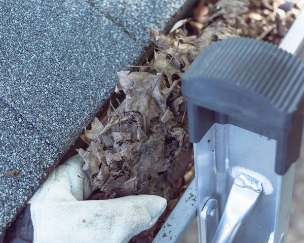 Vue du dessus main dans les gants sur échelle nettoyage des feuilles séchées de gouttière en Amérique — Photo