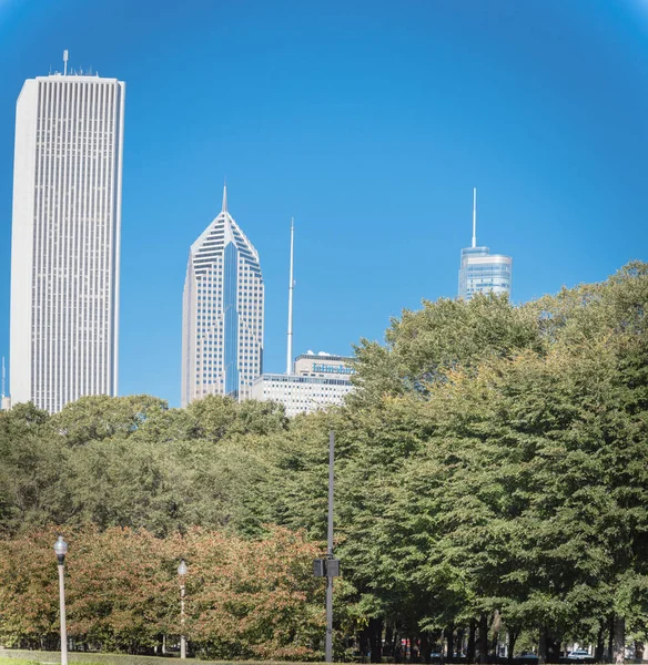 Vista hacia arriba del centro de Chicago skylines desde el parque de la ciudad —  Fotos de Stock