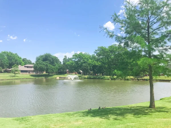 Working water fountain at residential park with clear pond and green tall trees in Coppell, Texas, USA