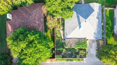 Dallas, Teksas, Amerika yakınlarındaki bağımsız bir aile evinde Asya manzaralı bir bahçe.