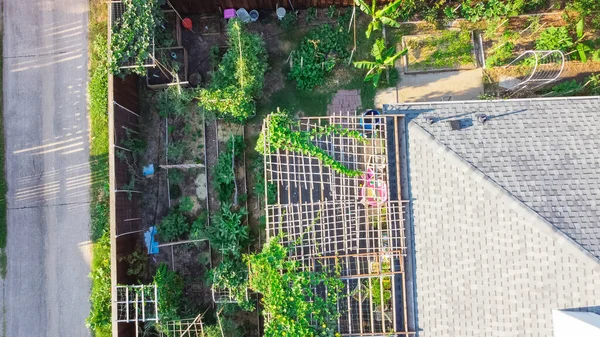 Vista Aérea Jardín Asiático Patio Trasero Casa Unifamiliar Independiente Cerca — Foto de Stock