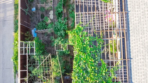 Bardeaux Toit Vue Sur Dessus Jardin Asiatique Dans Une Maison — Photo