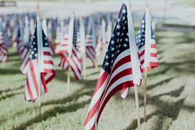 American flags planted in neat rows stretch across lawn near sidewalk, blurry residential houses, inviting quiet reflection from passersby in community centered 9/11 remembrance display, Texas. USA