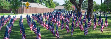 Panorama view lawn flag sharp focus rises from grass in Coppell 9/11 memorial, framed by residential street with bike sign and neighborhood home symbolizing remembrance in everyday American life. USA