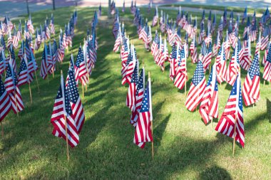 Dense of flag stands in focus against a blurry concrete driveway of local fire station in Coppell, suburbs Dallas, Texas, capturing the emotional clarity of remembrance patriotic 9/11 memorial. USA