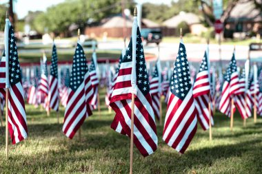 Flags flutter in the breeze across a sunlit lawn in Coppell suburbs Dallas, Texas, blurred homes and a stop sign behind, symbolizing how national memory lives quietly within neighborhood life. USA