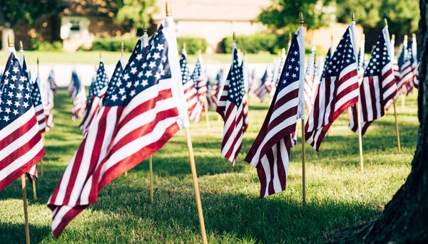 Panorama view large tree trunk anchors the foreground while rows of flags stretch across the lawn, blending natural permanence with solemn tribute in Coppell, Texas community 9/11 remembrance. USA