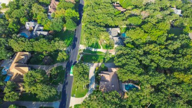 Quiet tree-lined residential street in upscale neighborhood in Lantana, Texas with mansion homes, private pools, curved sidewalks. Highlights walkability, tranquility in master-planned community. USA