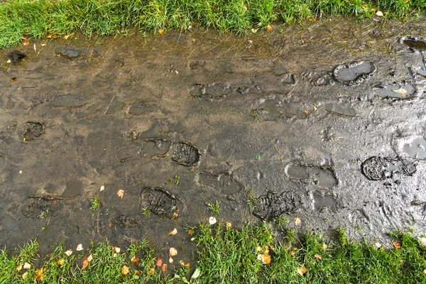 Sporen op een voetpad — Stockfoto