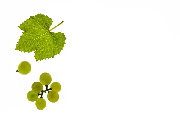 Uvas Sauvignon Blanc Con Hoja Aislada Sobre Fondo Blanco — Foto de Stock