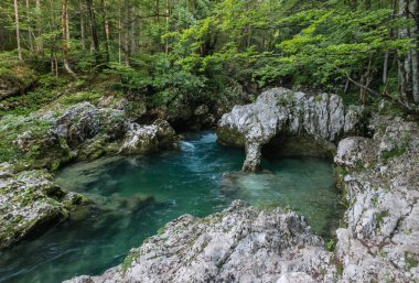 Mostnica Nehri yakınında Triglavski narodni Park, Slovenya lake Bohinj karstik oluşumu