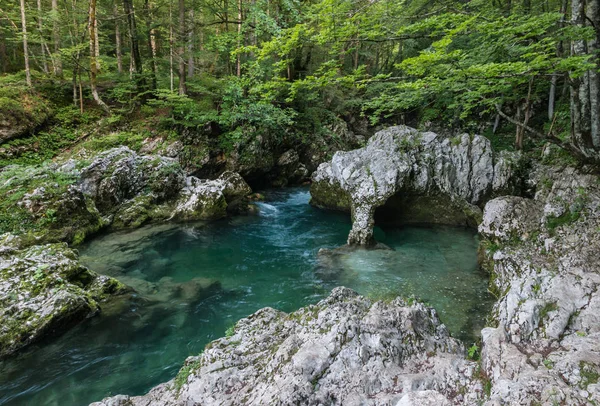 Mostnica Nehri yakınında Triglavski narodni Park, Slovenya lake Bohinj karstik oluşumu