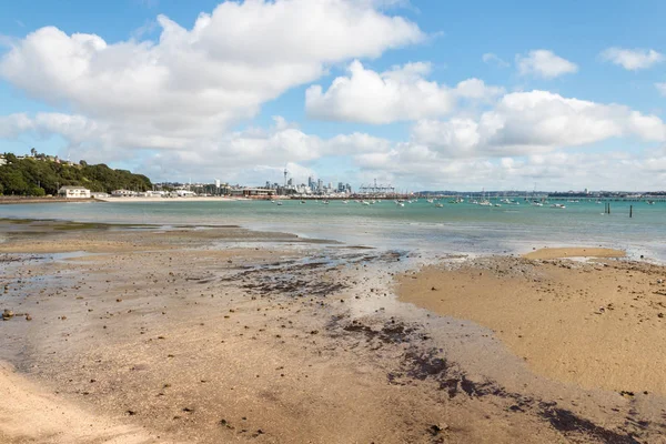Písečná Pláž Hobson Bay Auckland Nový Zéland — Stock fotografie