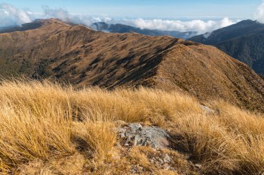 Paparoa aralıkları içinde Paparoa Milli Parkı, West Coast, South Island, Yeni Zelanda