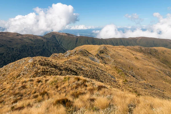 Cadenas Montañosas Parque Nacional Paparoa Oeste Costa Isla Sur Nueva — Foto de Stock