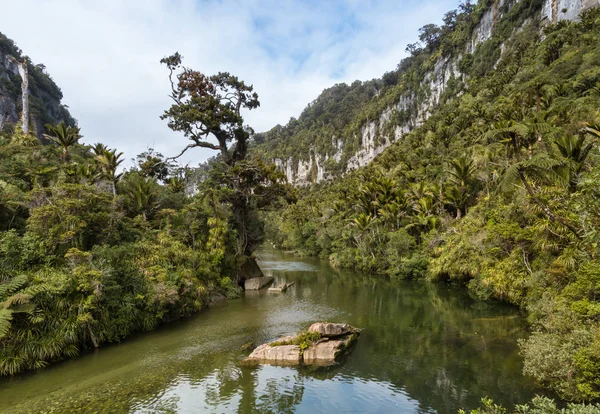 Porarari Nehri yakınında Punakaiki Batı kıyısında, South Island, Yeni Zelanda