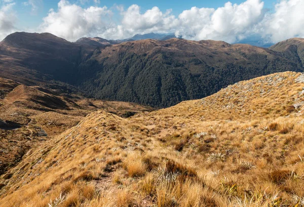 Parque Nacional Paparoa Alpes Del Sur Isla Sur Nueva Zelanda — Foto de Stock