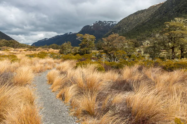 Pasarela James Pista Senderismo Sur Los Alpes Isla Sur Nueva — Foto de Stock