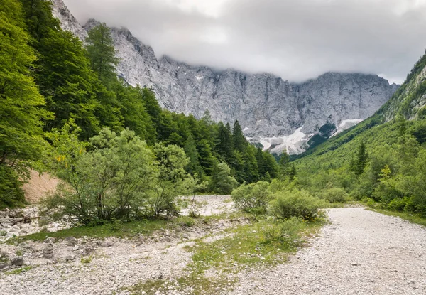 Bergketen Julische Alpen Het Nationale Park Triglav Met Cloud Inversie — Stockfoto