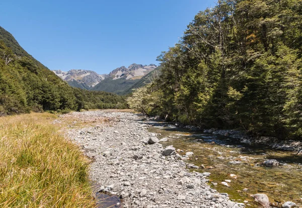 Paesaggio Delle Alpi Meridionali Con Catena Montuosa Fiume Vicino Parco — Foto Stock