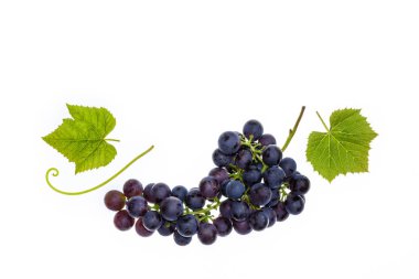 Pinot Noir üzüm ile demet izole üzerinde beyaz arka plan bırakır