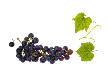 Beyaz arka plan ve kopya alanı muscat noir üzüm ile demet bırakır