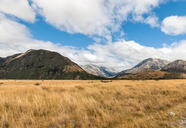 Planícies Gramíneas Arthur Pass National Park Southern Alps Nova Zelândia — Fotografia de Stock