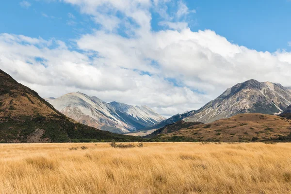 Craigieburn Oblast Jižních Alpách Jižní Ostrov Nový Zéland — Stock fotografie