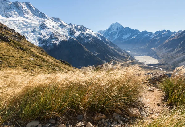 Wandelroute Zuid Alpen Met Uitzicht Cook Hooker Valley Mount Cook — Stockfoto