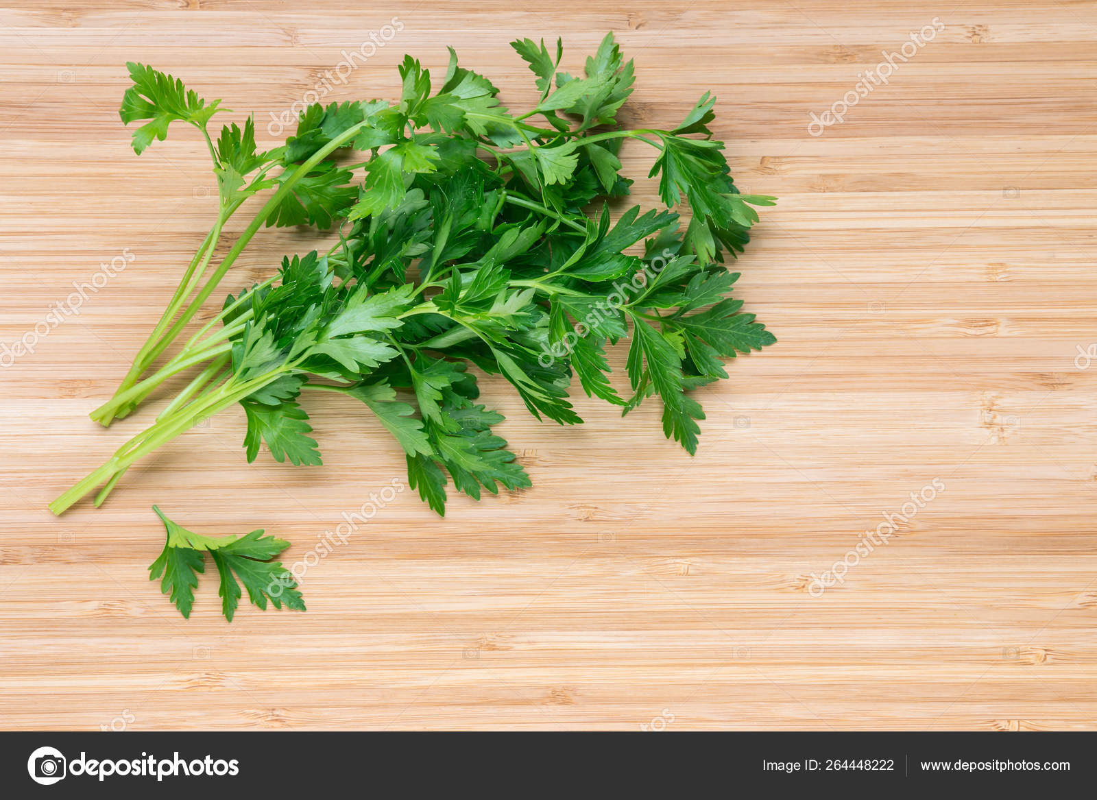 Bunch Fresh Flat Leaf Parsley Leaves Wooden Chopping Board Copy Stock Photo Image By C Pstedrak Bunch Fresh Flat Leaf Parsley Leaves Wooden Chopping Board Copy Stock Photo Image By C Pstedrak