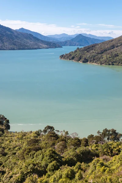 Letecký Pohled Pelorus Sound Marlborough Zvuky Jižní Ostrov Nový Zéland — Stock fotografie