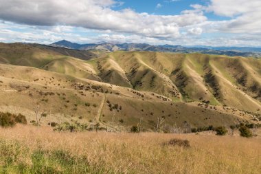 Blenheim Wither Hills parkta tepeler manzara, Güney Adası, Yeni Zelanda