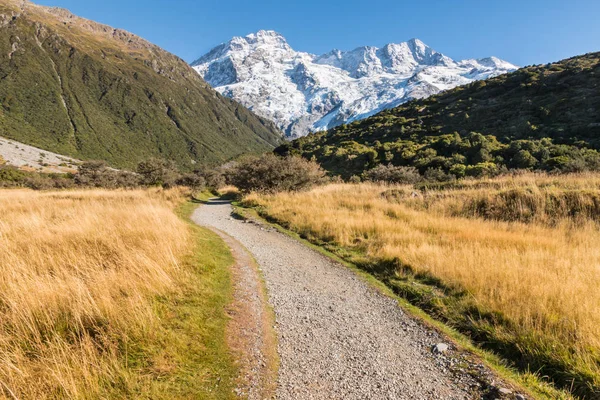 Mount Sefton Cook National Park Zuidelijke Alpen Nieuw Zeeland — Stockfoto